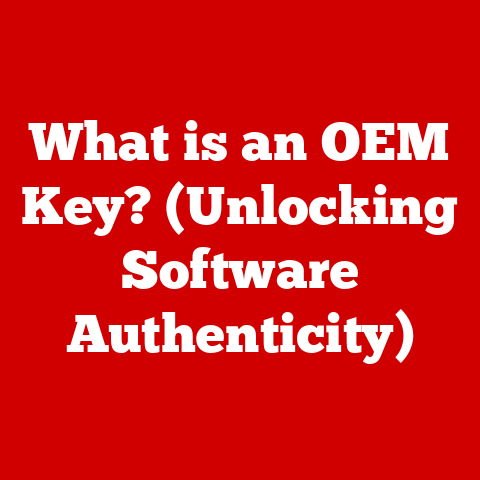 What is an OEM Key? (Unlocking Software Authenticity)