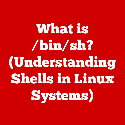 What is /bin/sh? (Understanding Shells in Linux Systems)