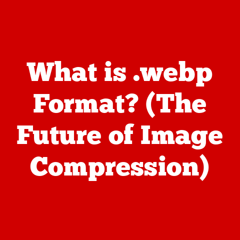 What is .webp Format? (The Future of Image Compression)